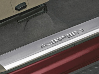 2009 Chrysler Aspen Door Sill Guards 82210101
